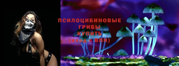 спиды Магадан